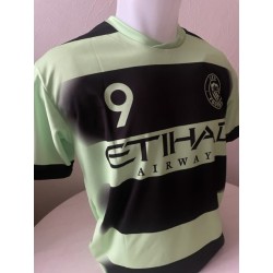 Haaland tenue sh+br uitkleur
