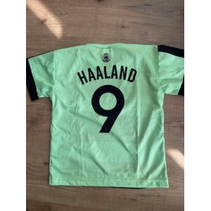 OPRUIMING HAALAND...