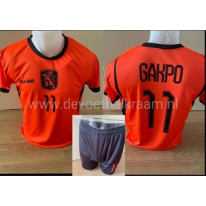 GAKPO W.K. 2026 Nederlands...
