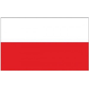 POLEN VLAG 90X150 CM