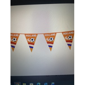 VLAGGEN LIJN PE ORANJE HOLLAND VOETBAL 6 MTR