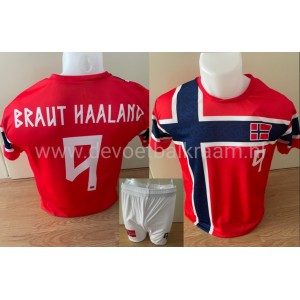 NIEUW HAALAND NORWEGEN...